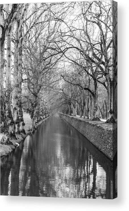 Winter Acrylic Print featuring the photograph Winter by Alex Lapidus