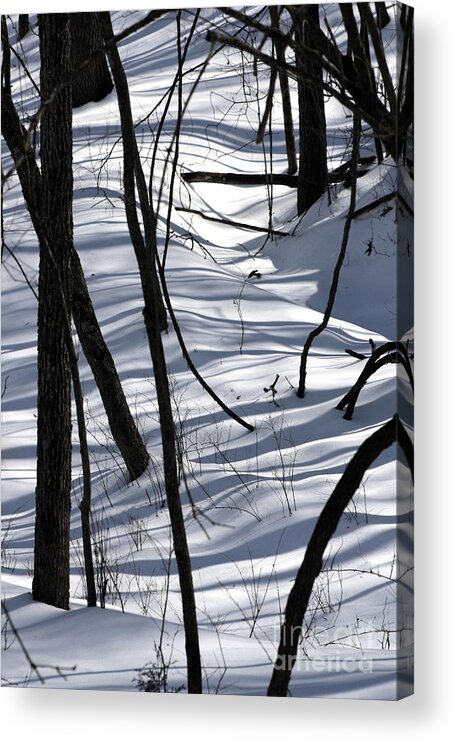 Winter Acrylic Print featuring the photograph Winter Hillside by Fred Sheridan