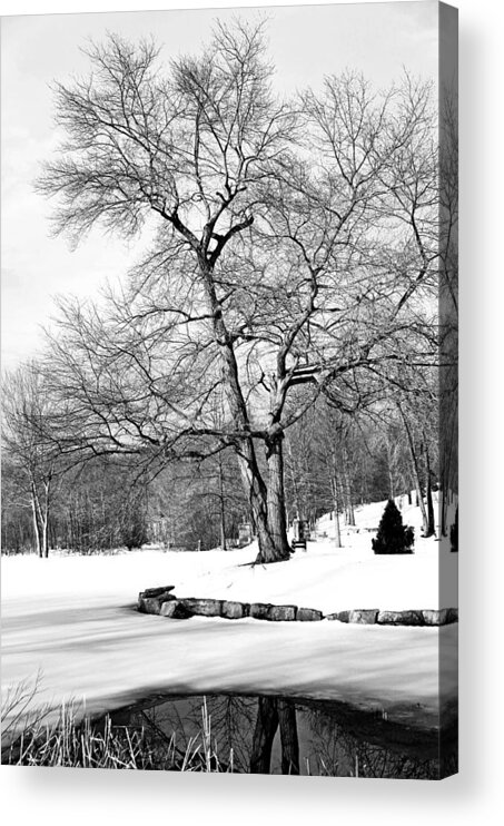 Winter Acrylic Print featuring the photograph Winter Reflects in Black and White by Karol Livote