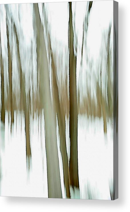 Forest Acrylic Print featuring the photograph Winter by Steven Huszar