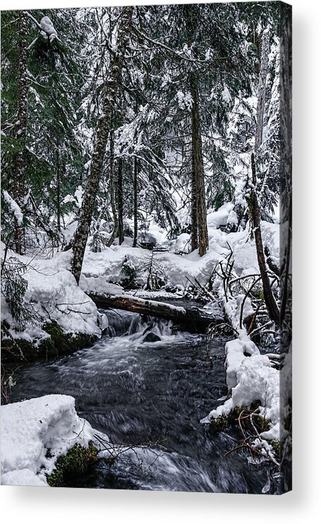 Stream Acrylic Print featuring the photograph Winter Stream by Tahnee-Wesley Grant