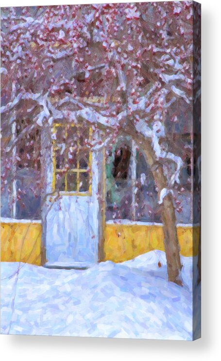 Brattleboro Vermont Acrylic Print featuring the photograph Winter Tree by Tom Singleton