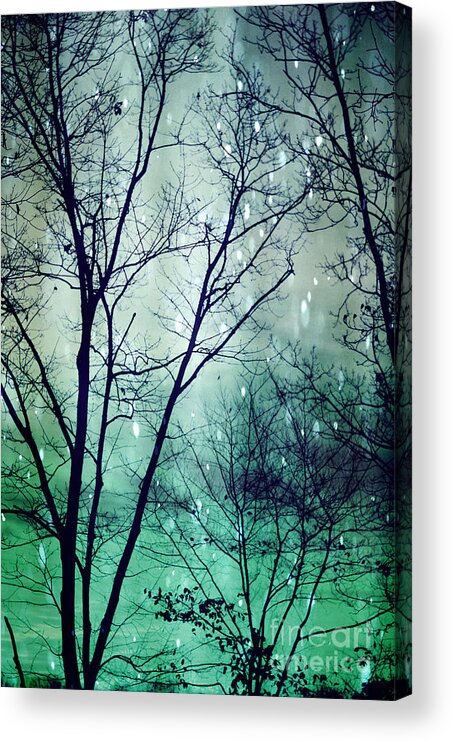 Wintergreen Acrylic Print featuring the photograph Wintergreen Twilight by Kim Fearheiley