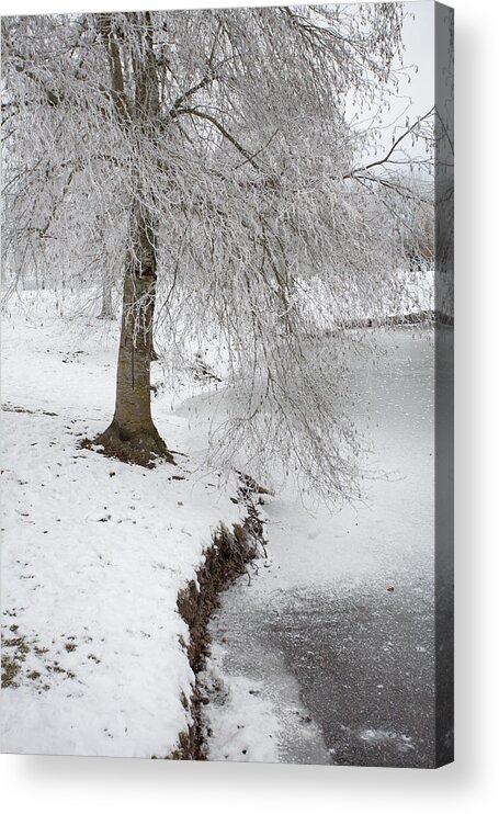 Winter Acrylic Print featuring the photograph Winter's Grip by Bonnie Bruno