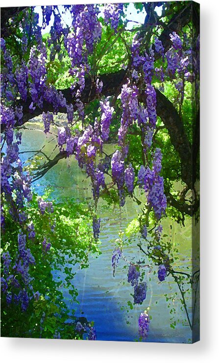 Nature Acrylic Print featuring the photograph Wisteria Over Turtle Creek by Robert J Sadler