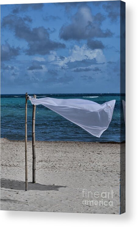 Cotton Acrylic Print featuring the photograph With The Wind by Judy Wolinsky