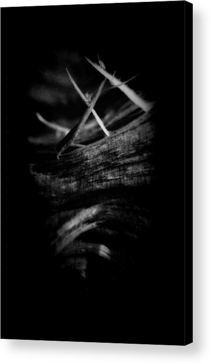 Wood Acrylic Print featuring the photograph Wood Art 01 by Mimulux Patricia No
