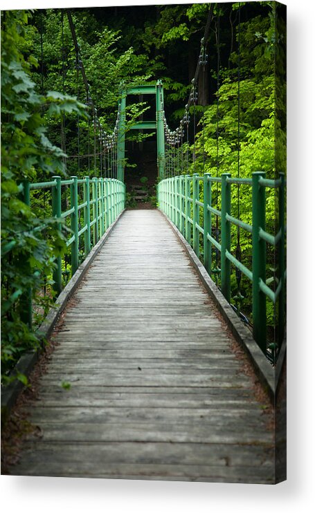 Forest Acrylic Print featuring the photograph Yagen Forest Bridge by Brad Brizek