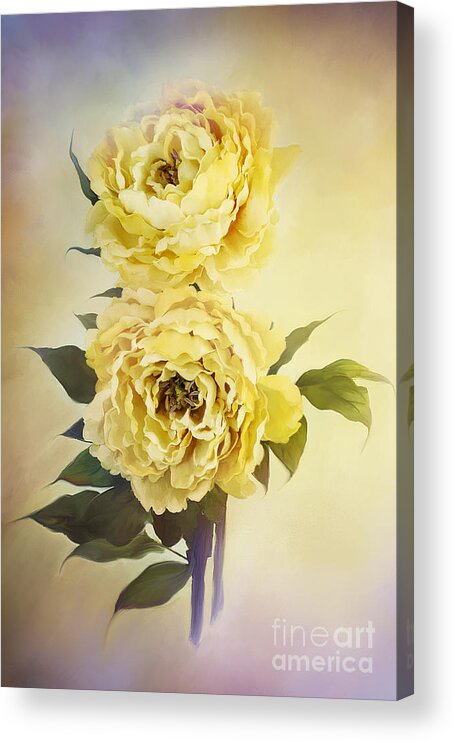 Peony Acrylic Print featuring the photograph Yellow Peonies by Stephanie Frey
