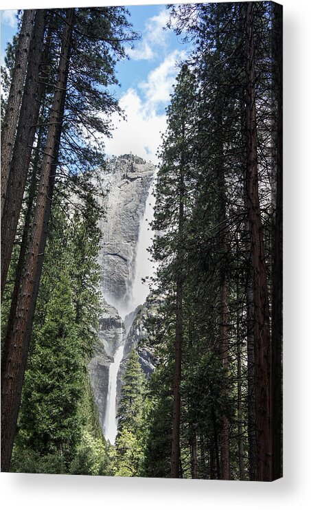 Yosemite Falls Acrylic Print featuring the photograph Yosemite by Weir Here And There