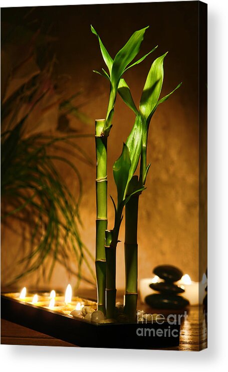 Bamboo Acrylic Print featuring the photograph Zen Time by Olivier Le Queinec