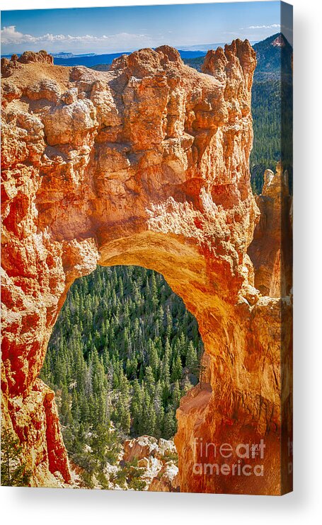 Arch Acrylic Print featuring the photograph Natural Bridge by David Millenheft