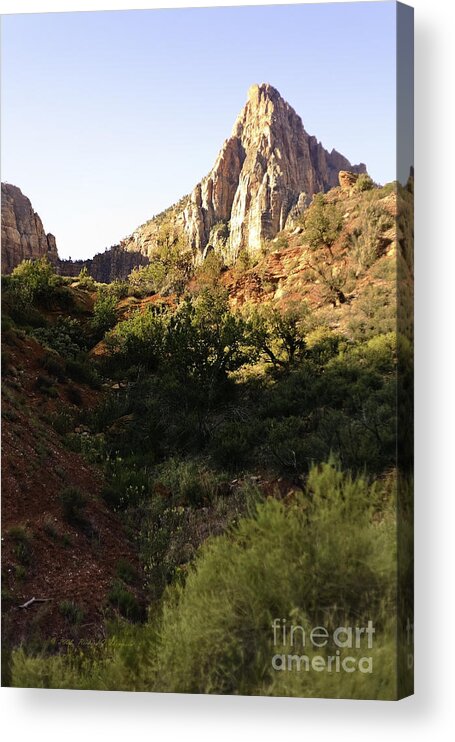 Mountains Acrylic Print featuring the photograph Zion Landscape by Richard J Thompson 