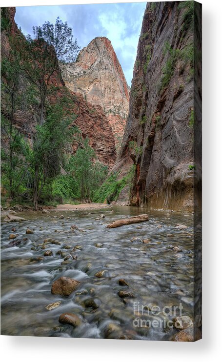 Virgin Acrylic Print featuring the photograph Zion Narrows by Eddie Yerkish