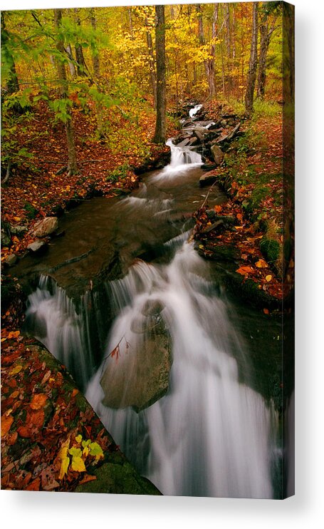 Autumn Acrylic Print featuring the photograph Autumn in New York #1 by Neil Shapiro