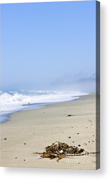Pacific Acrylic Print featuring the photograph Coast of Pacific ocean in Canada 2 by Elena Elisseeva