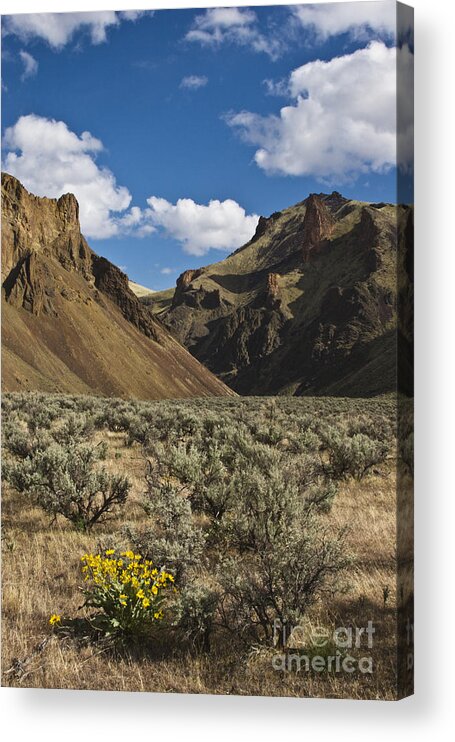Craig Lovell Acrylic Print featuring the photograph Oregon-d492 #1 by Craig Lovell