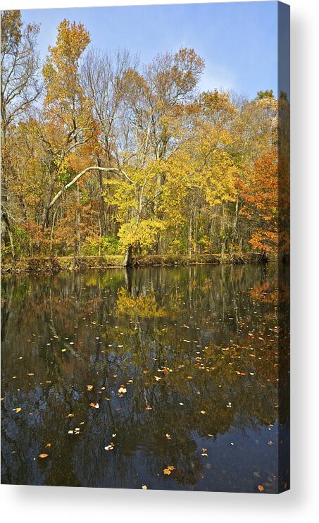 Blackwells Mills Acrylic Print featuring the photograph Reflection of Autumn Colors on the Canal by David Letts