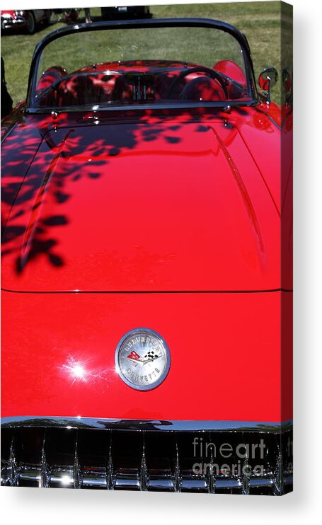 1956 Chevrolet Corvette Acrylic Print featuring the photograph 1956 Chevrolet Corvette . 5D16292 by Wingsdomain Art and Photography