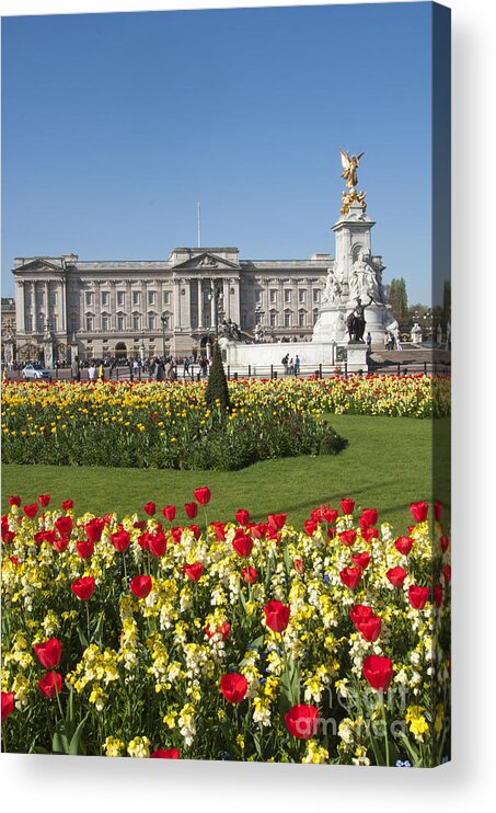 British Acrylic Print featuring the photograph Buckingham palace #2 by Andrew Michael