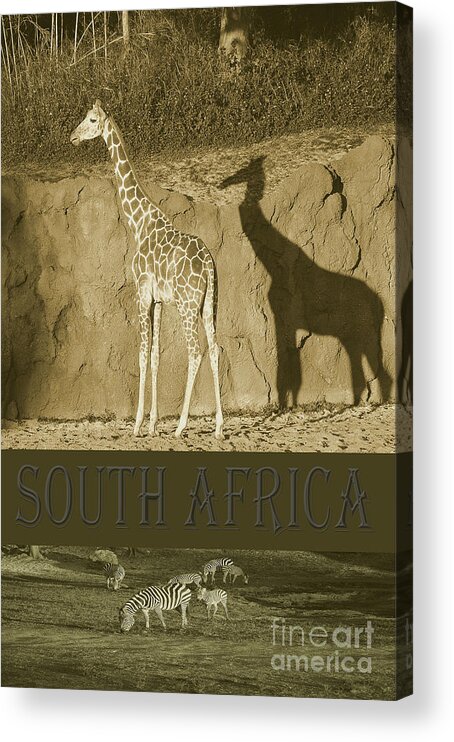 South Africa Acrylic Print featuring the photograph South Africa #2 by Robert Meanor