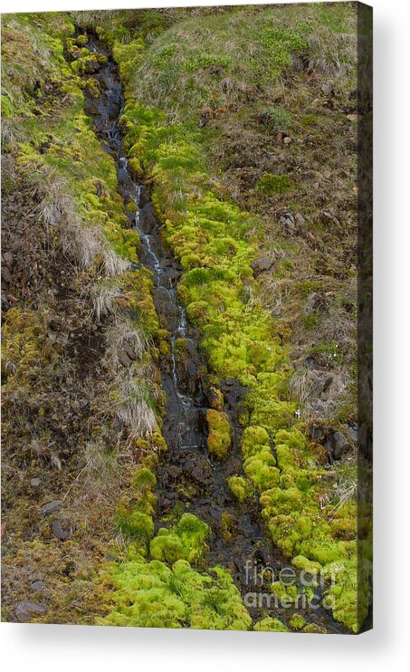 Waterfall Acrylic Print featuring the photograph Waterfall Iceland #20 by Jorgen Norgaard