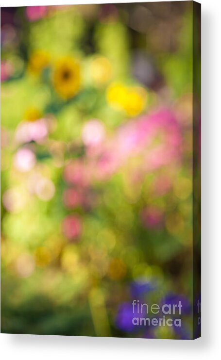 Flower Acrylic Print featuring the photograph Flower garden in sunshine 4 by Elena Elisseeva