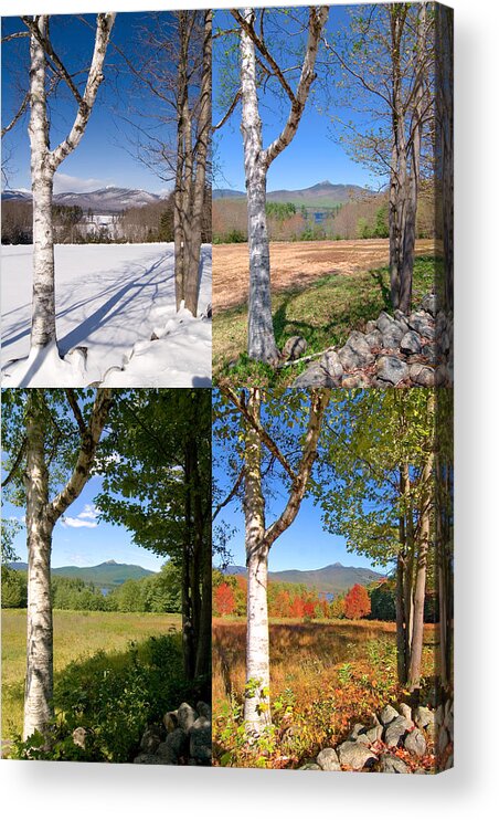 4 Seasons Acrylic Print featuring the photograph 4 Seasons Chocurua Vertical by Larry Landolfi