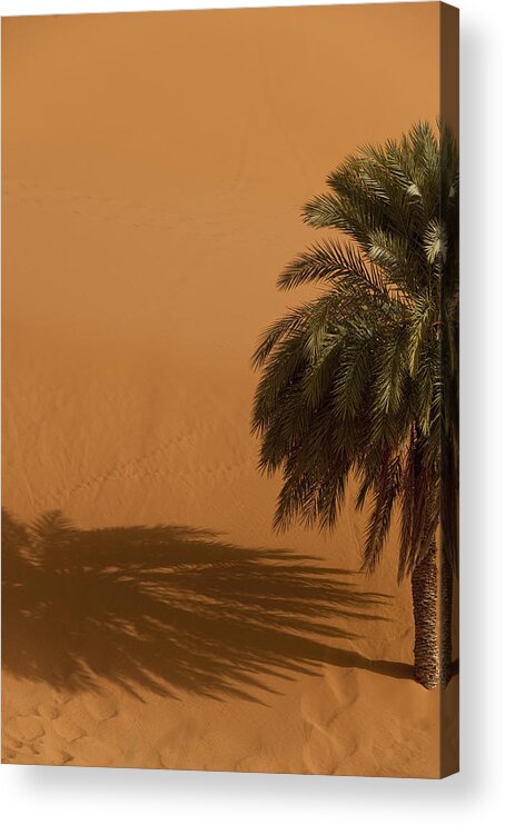 Vertical Acrylic Print featuring the photograph Merzouga, Morocco #6 by Axiom Photographic