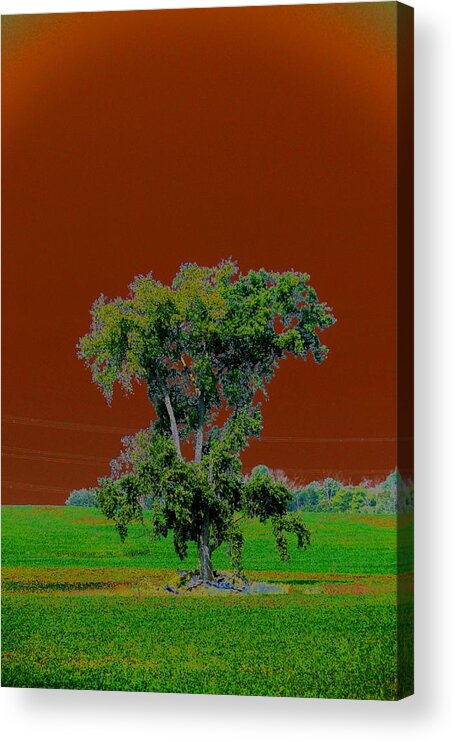 A Different Way Acrylic Print featuring the photograph A Diferent Way by Cyryn Fyrcyd