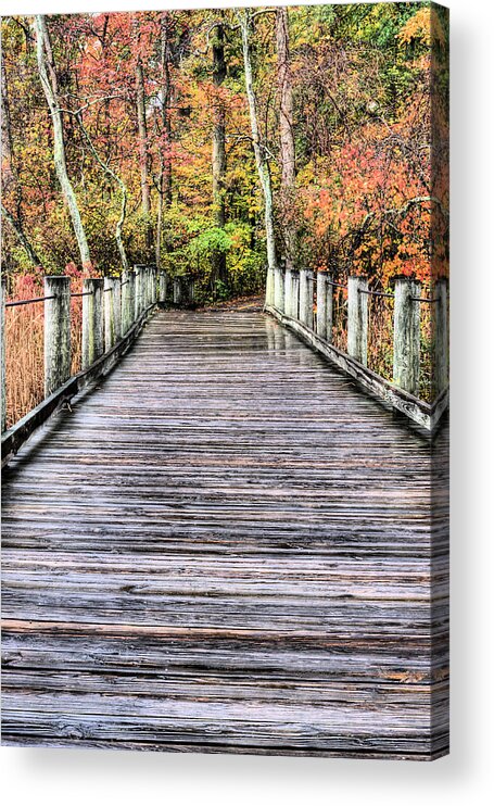 Dyke Marsh Wildlife Preserve Mt Mount Vernon Trail Gw George Washington Parkway Pkwy Alexandria Va Virginia Nature Swamp Fall Autumn Color Colors Colour Colours Bench Rest Seat Bike Bicycle Walk Walking Trail Jog Jogging Run Running Runners Bridge Bridges Acrylic Print featuring the photograph A Stroll Through Autumn by JC Findley