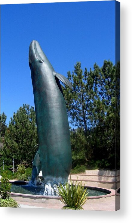 Whales Acrylic Print featuring the photograph A Whale Too Big For My Pool by Don Struke