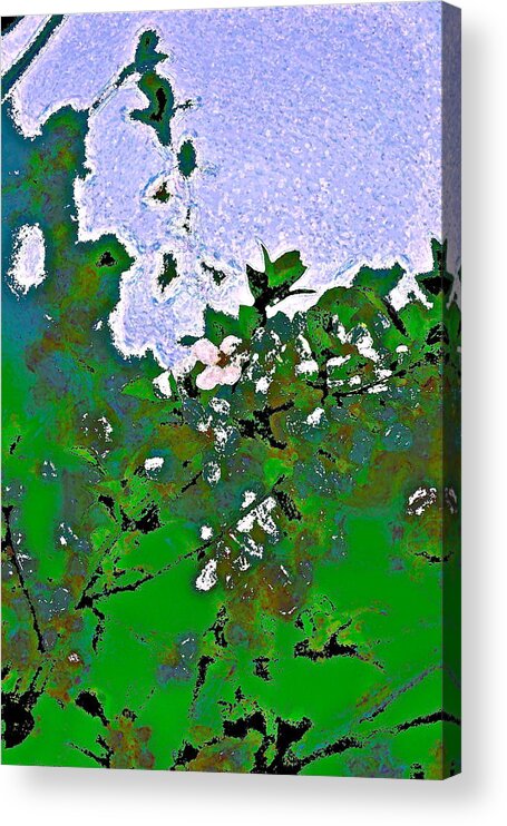 Abstract Acrylic Print featuring the photograph Abstract 218 by Pamela Cooper