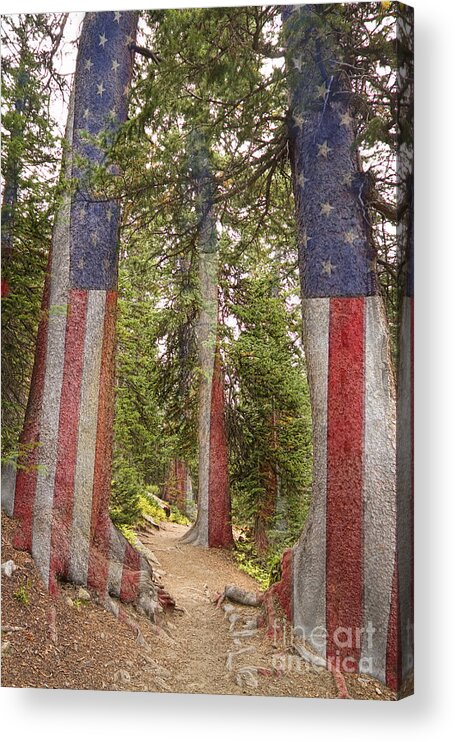 Usa Acrylic Print featuring the photograph American The Beautiful Rocky Mountain Forest by James BO Insogna
