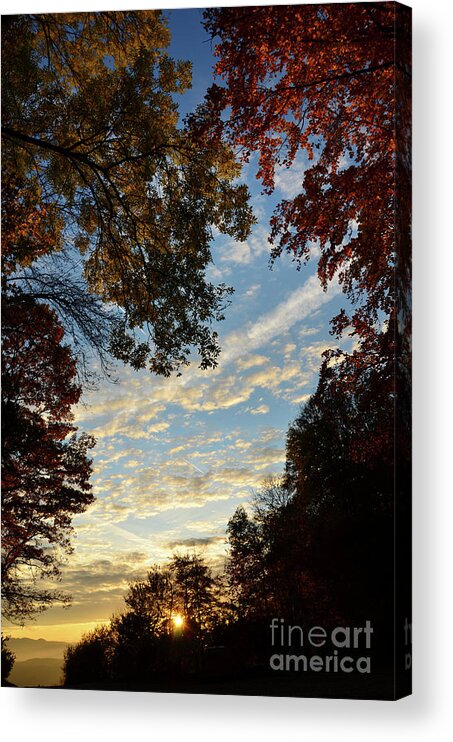 Photograph Acrylic Print featuring the photograph Autumn Beauty by Bruno Santoro