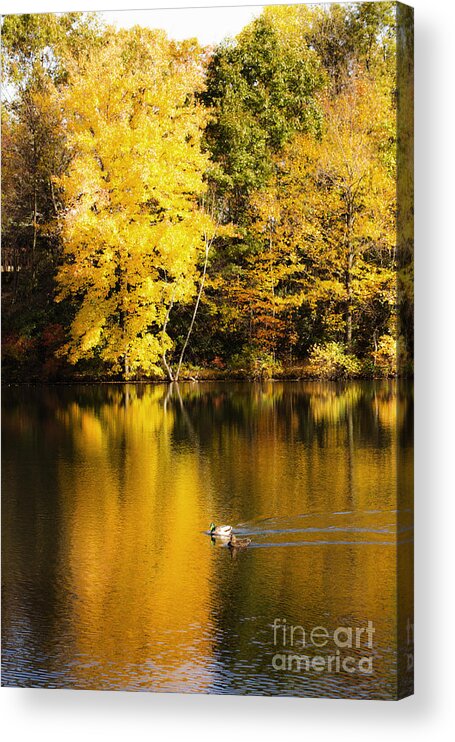 Autumn Acrylic Print featuring the photograph Autumn Pond by Leslie Leda