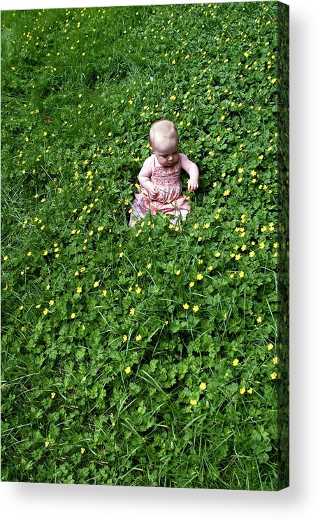 Beautiful Baby Acrylic Print featuring the photograph Baby In a Field of Flowers by Lorraine Devon Wilke