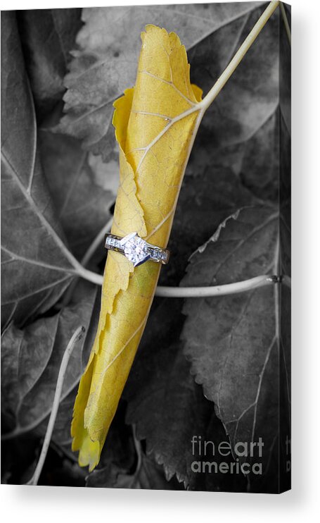 Solitaire Diamond Acrylic Print featuring the photograph Beautiful Engagement by Brooke Roby