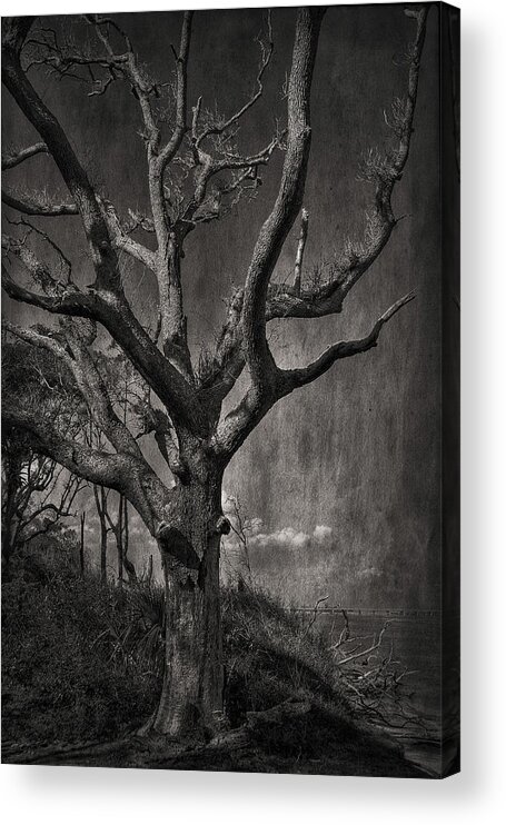 Black And White Acrylic Print featuring the photograph Big Talbot Island by Mario Celzner