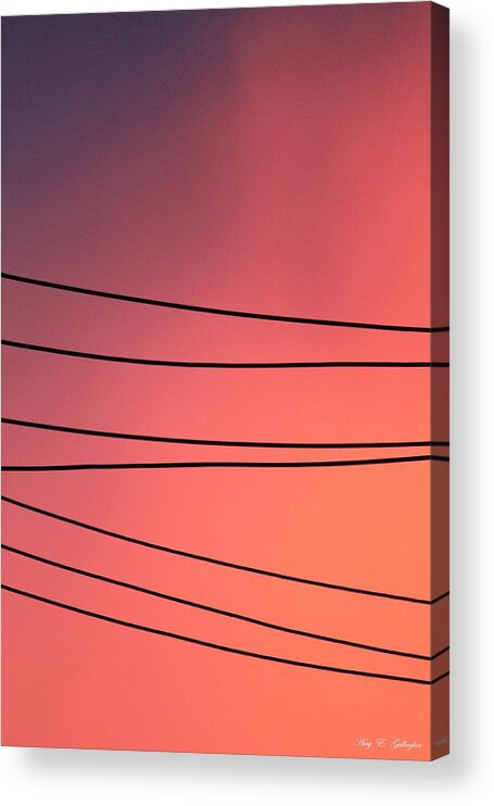 Power Lines Acrylic Print featuring the photograph Black Lines and Night Skies by Amy Gallagher
