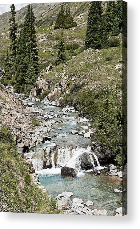 Best Sellers Acrylic Print featuring the photograph Blue Mountain Stream by Melany Sarafis