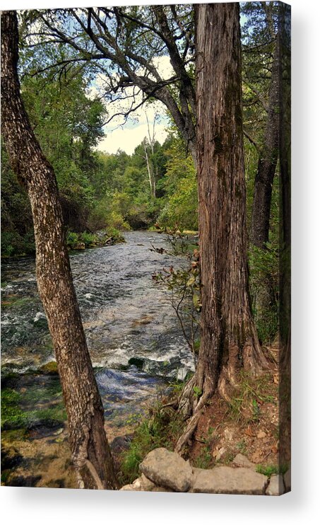 Stream Acrylic Print featuring the photograph Blue Spring Branch by Marty Koch