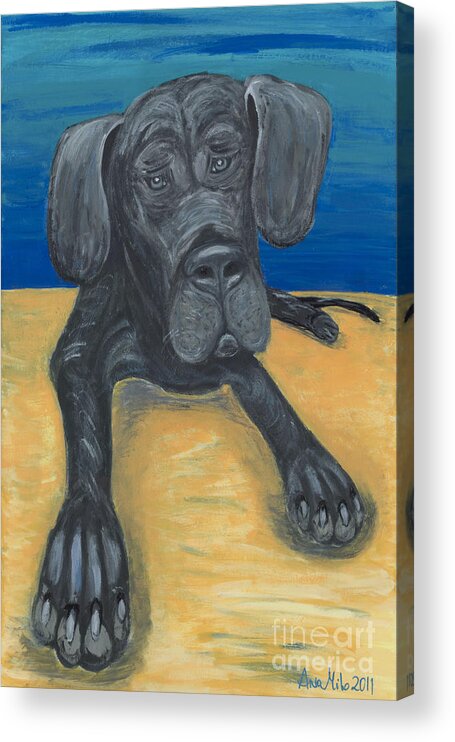 Great Dane Puppy Acrylic Print featuring the painting Blue The Great Dane Pup by Ania M Milo