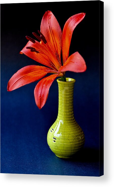 Flower Acrylic Print featuring the photograph Bold by Natalia Ganelin