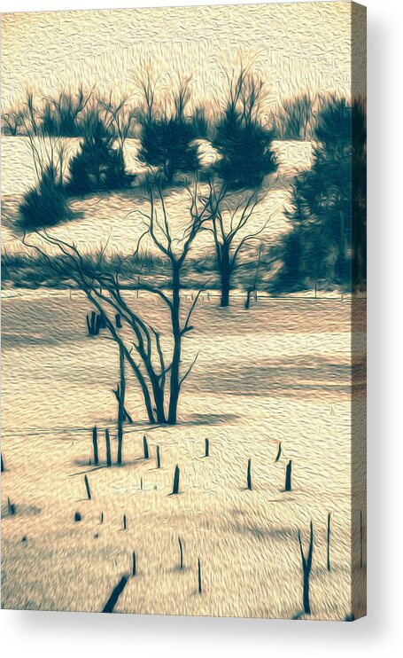 Cold Acrylic Print featuring the photograph Branched Reprieve by Bill and Linda Tiepelman