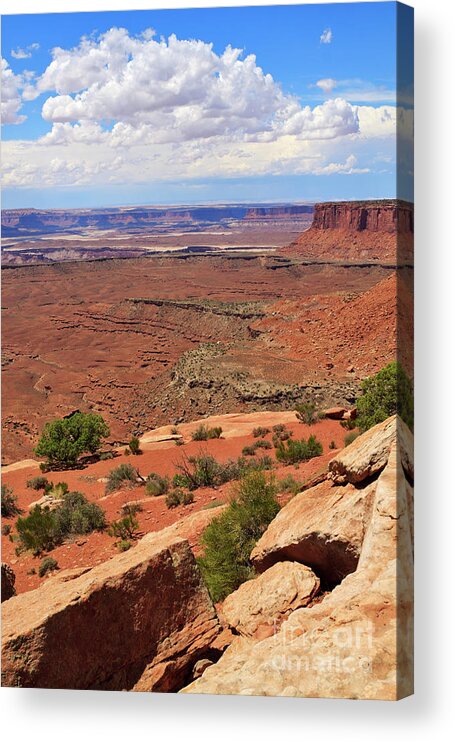 Canyonlands Acrylic Print featuring the photograph Candlestick Tower Overlook Canyonlands National Park by Louise Heusinkveld