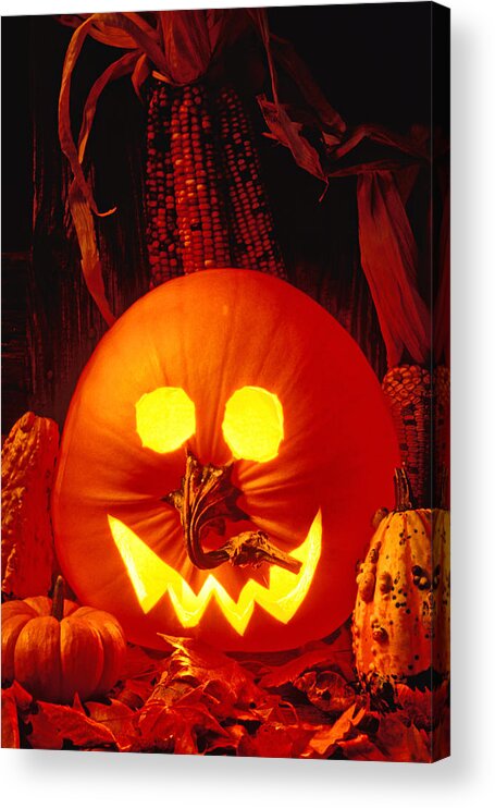 Pumpkin Acrylic Print featuring the photograph Carved pumpkin with fall leaves by Garry Gay