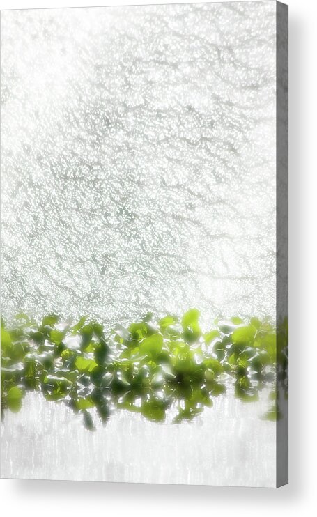 Water Acrylic Print featuring the photograph Cascade by Richard Piper
