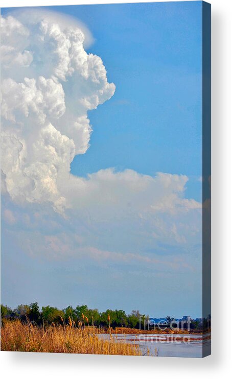 Oklahoma Acrylic Print featuring the photograph Cimarron River by Anjanette Douglas