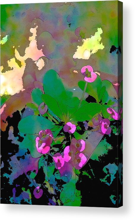 Floral Acrylic Print featuring the photograph Color 116 by Pamela Cooper